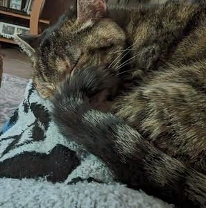 Meet your Posher, Janice